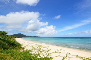 Okinawa güzel bir plaj