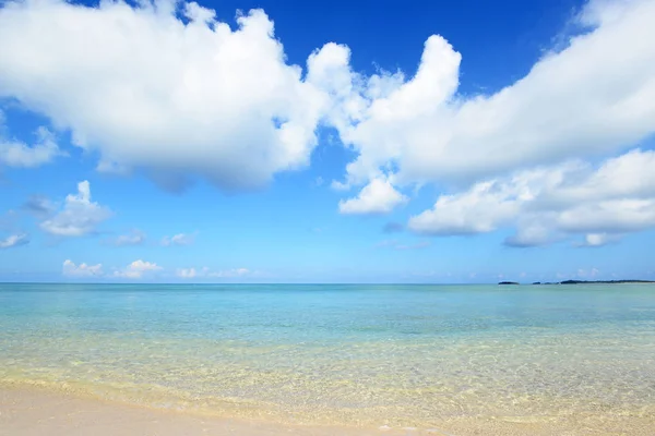 Okinawa Güzel Bir Plaj — Stok fotoğraf