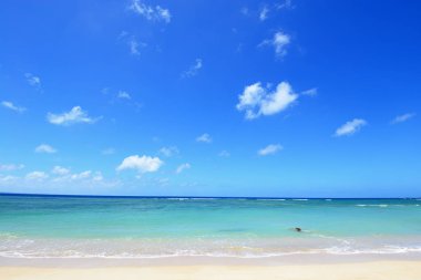 Okinawa güzel bir plaj