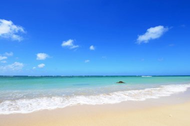 Okinawa güzel bir plaj