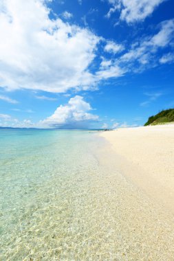 Okinawa 'da güzel bir plajın resmi.