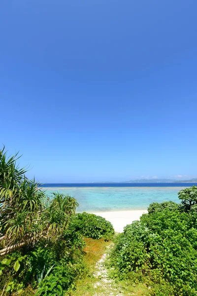 Гарний Пляж Окінава — стокове фото