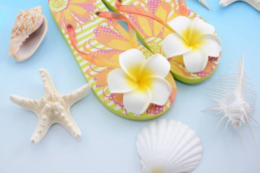 Deniz kabukları ile moda flip flop