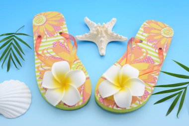 Üzerinde mavi arka plan izole moda flip flop