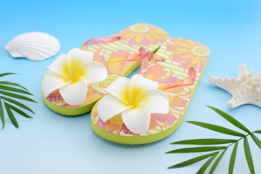 Kabukları ile moda flip flop