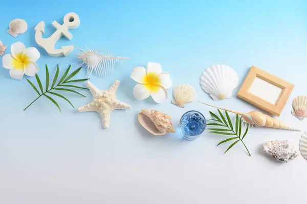 Seashells Flowers Isolated Blue Background — Stock Photo, Image