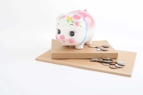 Свинка Монетами — стоковое фото