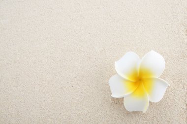 Plaj kum doku arka planı için