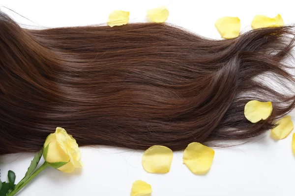 Woman Beautiful Long Hair — Stock Photo, Image
