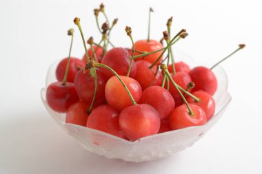 Bir kasede taze kirazlar