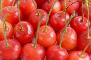 Bir kasede taze kirazlar