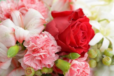 Beyaz arkaplanda izole edilmiş güzel çiçekler