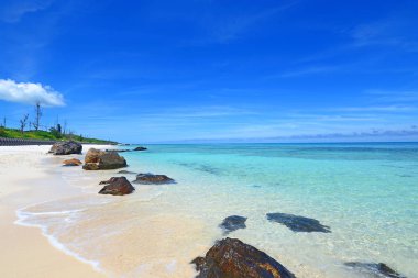 Okinawa 'da güzel bir plajın resmi.