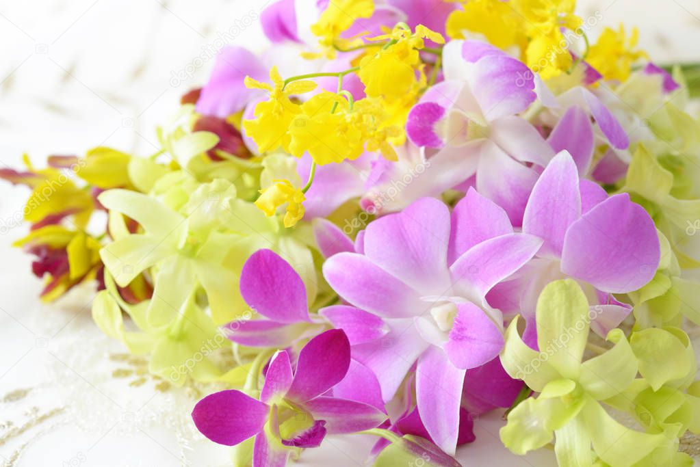 Background of beautiful blooming orchid flowers