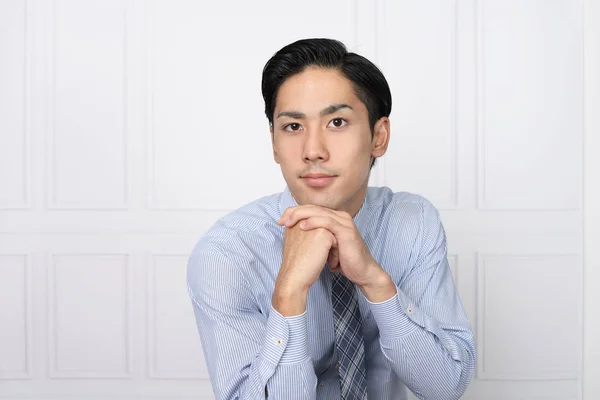 Portrait Handsome Business Man — Stock Photo, Image