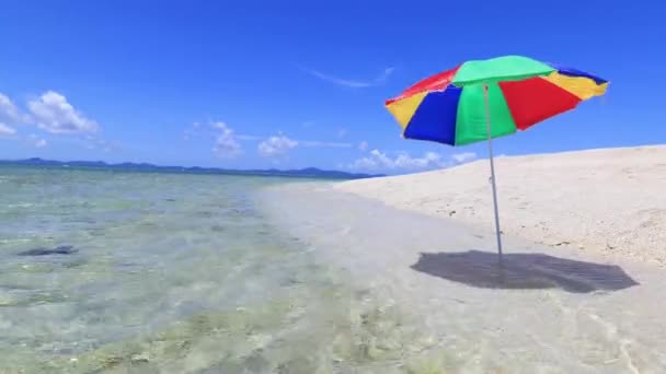 Verão Praia — Vídeo de Stock