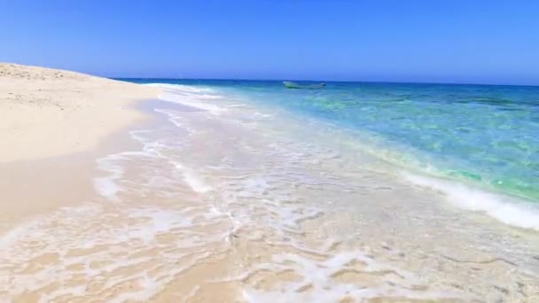 Schöner Strand Okinawa — Stockvideo