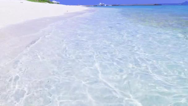 青い空と澄んだ沖縄の海 — ストック動画