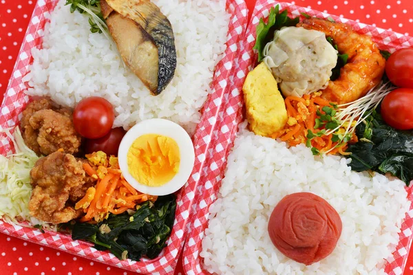 日本式美味的自制午餐 — 图库照片