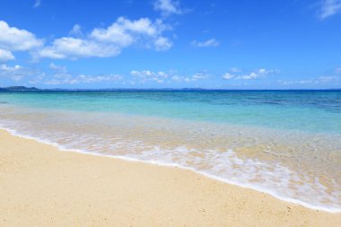 Okinawa 'da güzel bir plajın resmi.