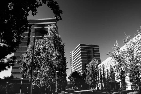 Redwood City Usa Settembre 2008 Quartier Generale Dell Oracolo Trova — Foto Stock