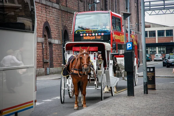 DUBLIN, IRELAND - JUNE 19, 2008: Open top sightseeing tour bus and horse carriage on street near The Guinness Brewery in Dublin, Ireland on June 19, 2008 — Stock Photo, Image