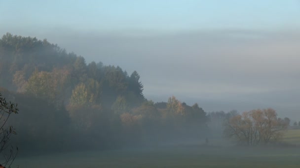 Time-lapse voor mist stijgt boven de weide in de buurt van het bos. — Stockvideo