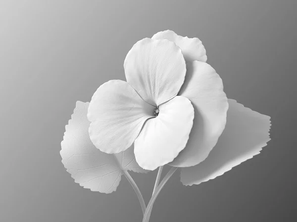 Bianco fiore sintetico Viola su sfondo sfumato — Foto Stock
