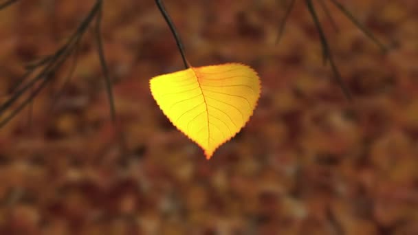 Wind scheurt laatste gele blad van tak en draagt het in de lucht — Stockvideo