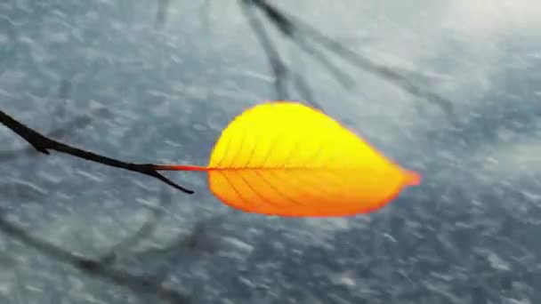Rüzgâr, kar yağışının arka planındaki daldan son sarı yaprağı koparır — Stok video