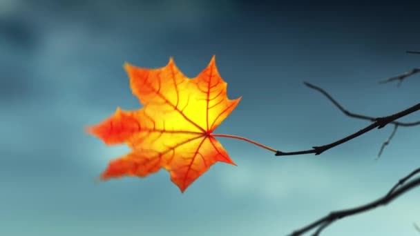Wind scheurt laatste esdoorn blad uit tak op de achtergrond van de herfst hemel — Stockvideo