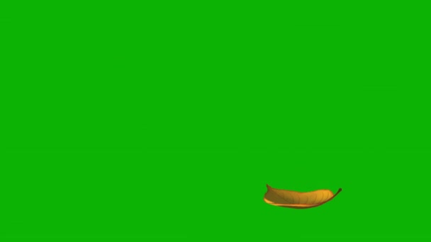 Hoja amarilla voladora en pantalla verde. Lazo sin costura. — Vídeos de Stock