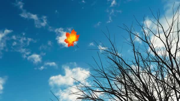 Fallendes Ahornblatt vor dem Hintergrund des blauen Himmels — Stockvideo