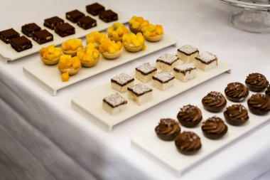 Hazırlanan ve sunulan gurme vegan gıda çeşitli.