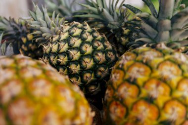 Portre üzerinde ahşap arka plan üzerinde taze ananas.
