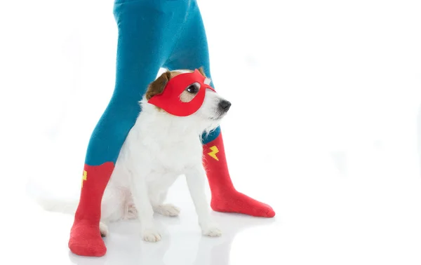 SUPER HERO DOG AND ITS LITTLE OWNER WITH COSTUME, SITTING AGAINST WHITE BACKGROUND