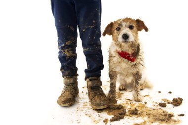Komik kirli köpek ve çocuk. Jack Russell köpek ve sonra çamurlu su utanç ifadesi ile oyunda Bot giyen çocuk. İzole Studio vurdu beyaz arka planı.