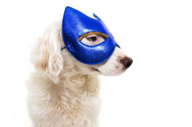 Karnaval veya Yeni Yıl Partisi için Köpek Mavi Kahraman Maskesi. Beyaz Arka Plana Karşı İzole.