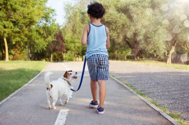 Park Sunset'te yürüyen köpek ve küçük çocuk. Dostluk ve 
