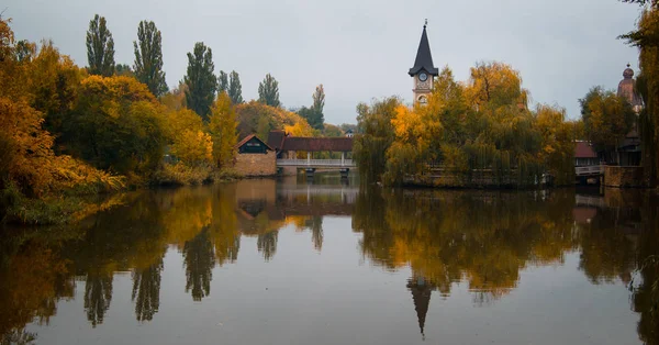 Saat Kulesi manzarası. Chernivtsi şehir manzarası.