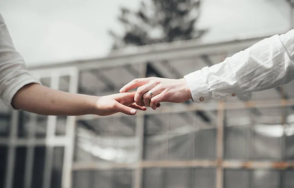 Mladá Rodina Procházející Botanické Zahradě Milující Pár Držící Ruce Při — Stock fotografie