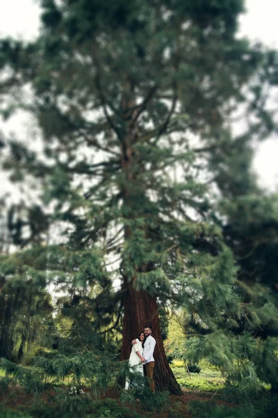陽気な若い夫婦が手をつないで森の中を歩いている 木の近くでポーズをとる甘いペア 美しい女の子とハンサムな男は森の中で暖かい一日を過ごします 週末の休日の概念 — ストック写真
