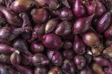 Birçok küçük kırmızı soğan. Sebze arka plan