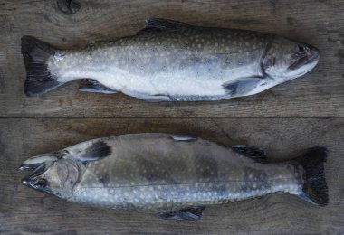 Çok eski Ahşap Doğrama tahtası üzerinde iki alabalık