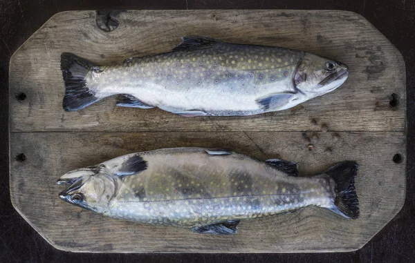 Çok eski Ahşap Doğrama tahtası üzerinde iki alabalık
