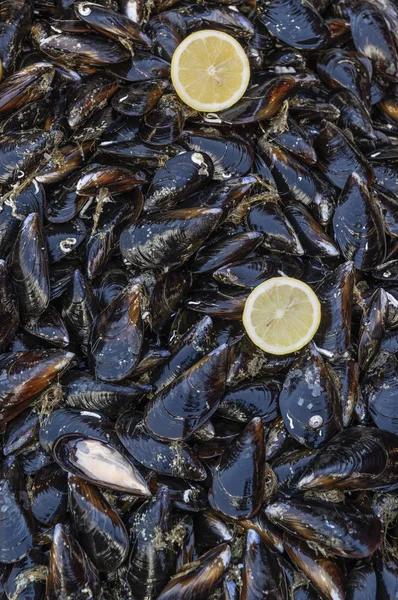 Mavi midye satış için görüntülenen yakın çekim