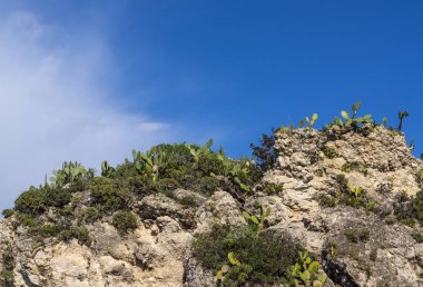 Kaktüs bitkileri mavi gökyüzü karşı büyük rock Ridge'in üst kapalı
