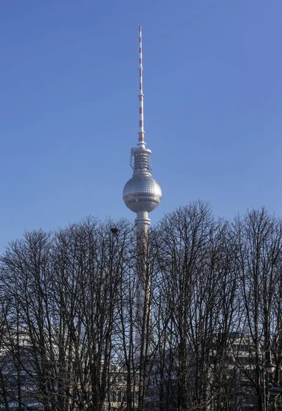 Berühmter Berliner Fernsehturm Zeigt Hinter Baumreihe — Stockfoto