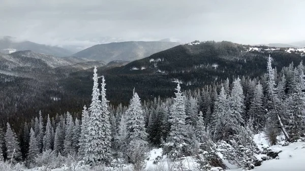 Natur Winter Berglandschaft — Stockfoto