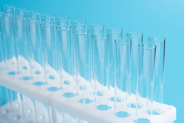 Glass test tubes in a stand on blue background